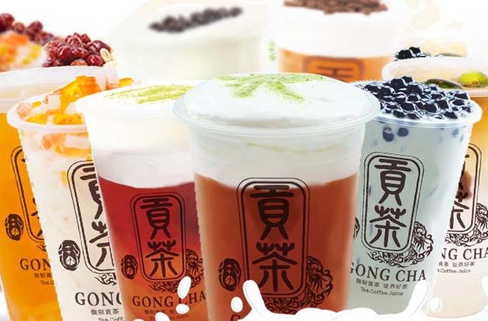 明山贡茶培训